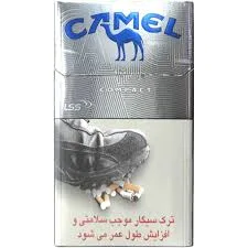 Camel کامپکت نقره ای